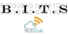 Branham IT Solutions, LLC Logo