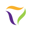 Tampa Bay Marketing Agency Logo