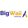 Big Wall Digital Logo