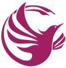 Phoenix Virtual Solutions Logo