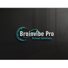 brainvibepvs Logo