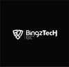 Bingztech Group Logo