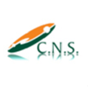 Computer Networking Services of NH Logo
