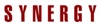 SYNERGY Consulting Logo