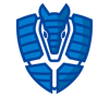 ArmadilCo LTD Logo