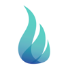 BVOH Search & Consulting Logo