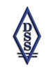 Definitive Staffing Solutions, INC Logo