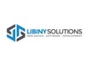 Libiny Solutions Logo