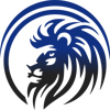 Digital Kings Networking, LLC Logo