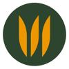 Bankey Digital Solutions Logo