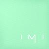 IMI Agency Logo