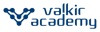Valkir Academy Logo
