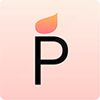 Promethean IT Logo