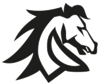 Broadview Technology Solutions LLC Logo