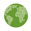 DeFourier Logo