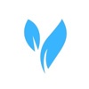 BlueVine Digital Marketing Solutions Logo