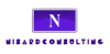 Nisard Consulting Inc Logo