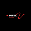 Integuards LTD Logo