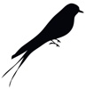 The Woods & Co Logo