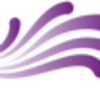 SWF Consulting, Inc. Logo