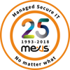 Mexis Logo