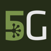 Five Geckos SEO & Digital Marketing Logo