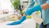 Cleaning Need Logo