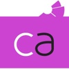 Custom Analytics Logo