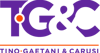 Tino Gaetani & Carusi Chartered Professional Accountants Logo