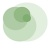 iota consultants Logo
