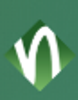 Neos IT Services Logo