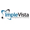 Digital Implevista Logo
