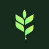 Flowfye Logo