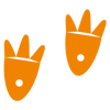 Webbed Feet Inc. Logo