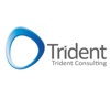 Trident Consulting Inc Logo
