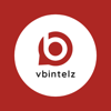 VBIntelz Logo