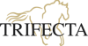 Trifecta Technologies Logo