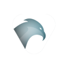 Buzzard-Webdesign Logo