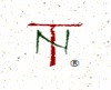 TekNiche Computer Services Logo