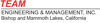 Team Engineering & Management Logo