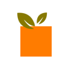 BigOrange.Marketing Logo