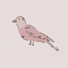 Finch Communications Logo