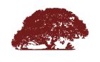 The Bellamy Law Firm Logo