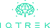 IQTrek Consulting Pvt. Ltd. Logo