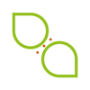 Synapses Asia Logo