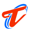 Tech Vannah IT Solutions Logo
