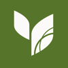 Evergreen Digital Marketing Logo
