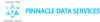 Pinnacle Data Services Pvt. Ltd. Logo