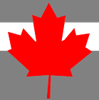 Canibuy Logo