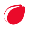 Maccrist Logo